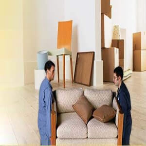 Commercial Packers and Movers